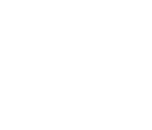 Smart Car Renting