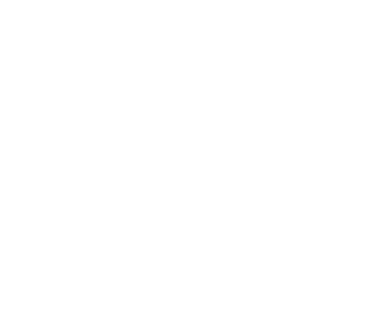 Smart Car Renting